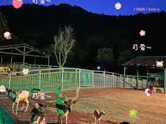 -无锡动物园·太湖欢乐园