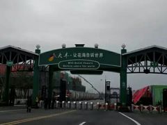 -荷兰花海