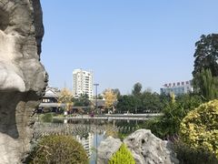 -北湖公园