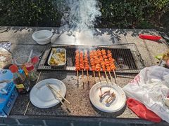 -吴淞炮台湾湿地森林公园烧烤区