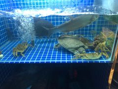 -开小灶(公望街店)