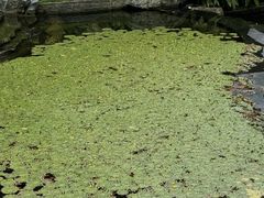 -云溪植物园