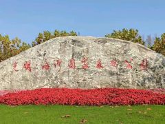-上海海湾国家森林公园