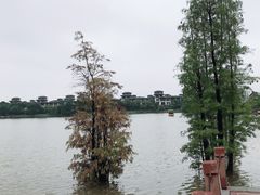 -美的鹭湖森林度假区