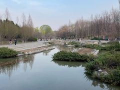 -大望京公园