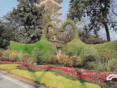 -鹅岭公园瞰胜楼