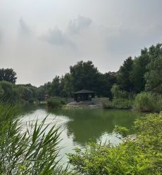 -芙蓉花月子会所(朝阳区店)
