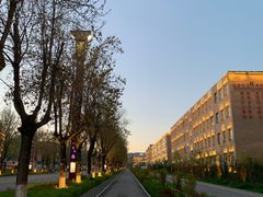 -特克斯八卦城