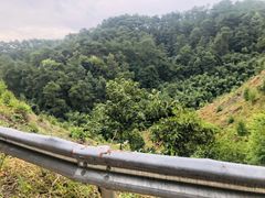 -三门江国家森林公园