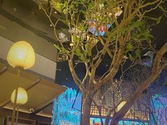 -桂满陇·海市蜃楼·黑金(国金店)