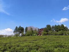 -凤凰沟景区