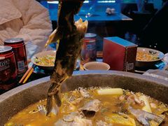 -石锅苗苗鱼(武汉首店)