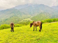 -硗碛藏寨·神木垒景区