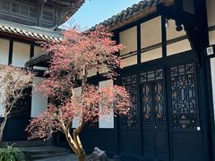 -宝光寺