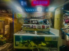 -西归浦每天偶来市场