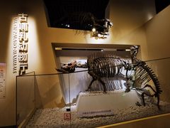 -国家自然博物馆