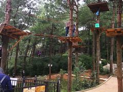 -梦幻奥陶纪景区