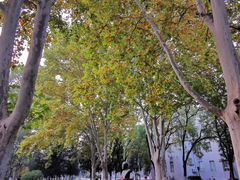 -北京邮电大学