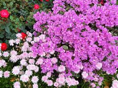 -人民公园(罗湖区)