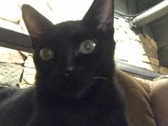 -RP酒吧·静吧·BAR