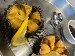 紫海胆-必点海鲜·鲅鱼水饺(鞍山西道店)