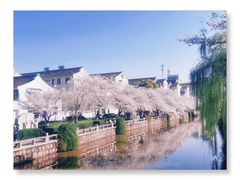 -常熟方塔园