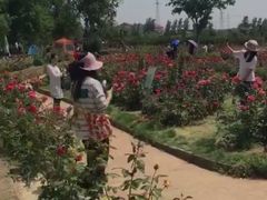 -武汉紫薇都市田园