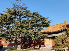 -北京市劳动人民文化宫(太庙)