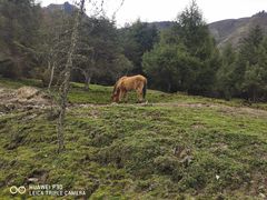 -硗碛藏寨·神木垒景区