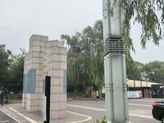 -大兴滨河森林公园