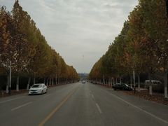 -蓬莱欧乐堡梦幻世界