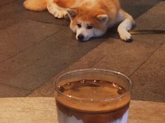 污-BIJOU coffee&cocktail(龙岗万科广场店)