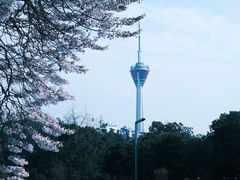 -红星桥(地铁站)