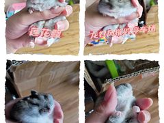 -乐宠宠物店(世纪金源店)