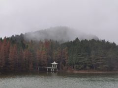 -四明山国家森林公园