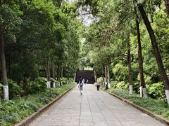 -灵谷景区