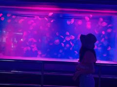 -星宿秘码(鼓浪屿老店)