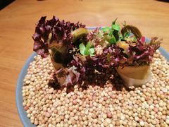 -天水蔬食料理(树德之光店)