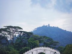 -顺峰山公园