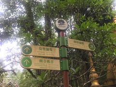 -莫里热带雨林景区