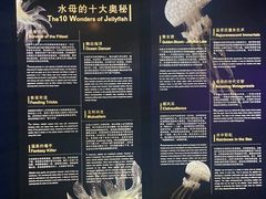 -上海海洋水族馆