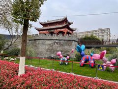 -武汉园博园(武汉自然博物馆)