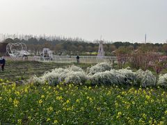 -嘉北郊野公园