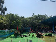 -广州长隆飞鸟乐园