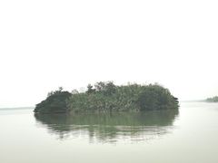 -金沙湖旅游度假区