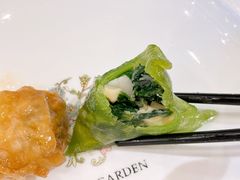 碧绿带子菜苗饺-翠园(南京德基广场店)