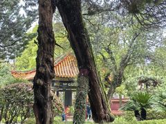 -南岳大庙