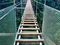 -千岛湖石林