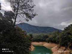 -广州市流溪河国家森林公园