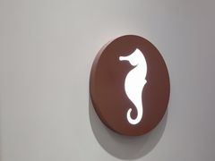 -海马体大师店(广州天汇广场IGC大师店)